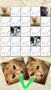 Memory Games free: Cute Cats游戲截圖1