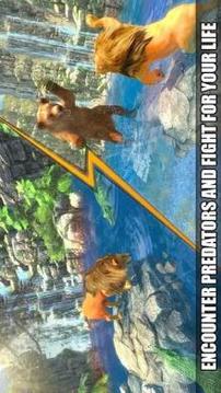 The Lion Simulator 3D: Forest Life of Lion Games游戲截圖1