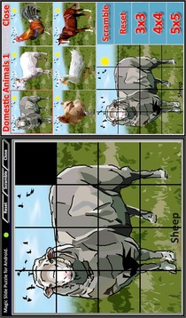 Magic Slide Puzzle D.Animals1游戲截圖2