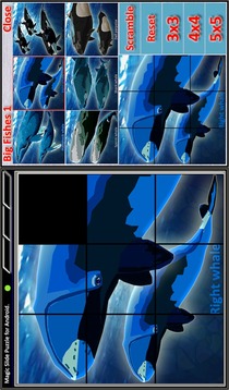 Magic Slide Puzzle B Fishes 1游戲截圖3