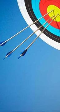 Archery Big Tournament Match King游戲截圖1