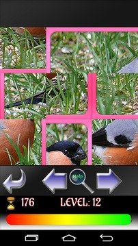 Puzzle Birds游戲截圖3