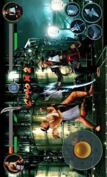 King of Combat:Kungfu fighter游戲截圖3
