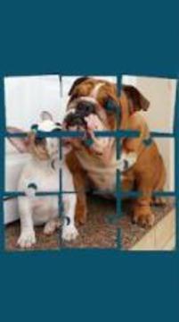 Picture Puzzle: Free Jigsaw Memory Game游戲截圖4