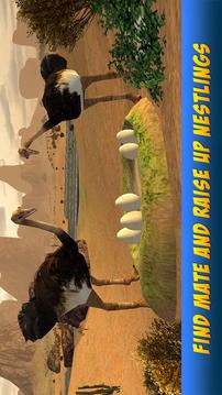 Ostrich Bird Simulator 3D游戲截圖3