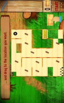 Board Challenge Free游戲截圖5