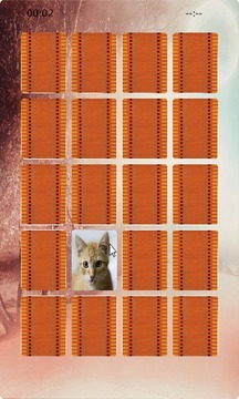 Cat Matching游戲截圖2