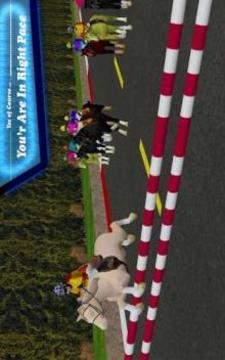 Racing Horse Jump 2017游戲截圖2