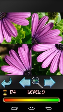 Puzzle Flowers 2015游戲截圖4