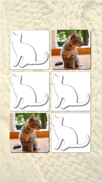 Memory Games free: Cute Cats游戲截圖2