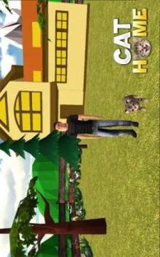 Cat Home : Kitten Daycare & Kitty Care Hotel游戲截圖5