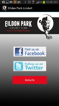 Eildon Park Cricket Club游戲截圖4
