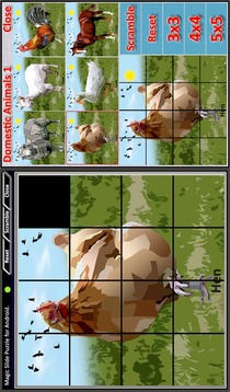 Magic Slide Puzzle D.Animals1游戲截圖5
