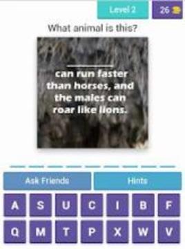 Fun Animal Facts游戲截圖4