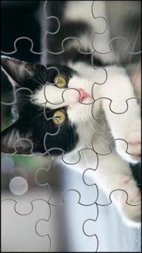 Cute Cats Jigsaw Puzzle游戲截圖1