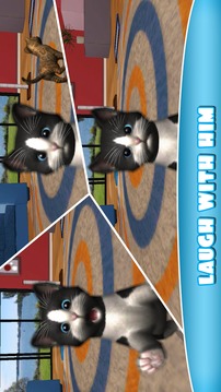 Daily Kitten : 虚拟宠物猫小猫动物游戏截图4