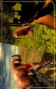 Animal Jungle Hunting Shooter游戲截圖3