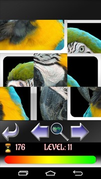 Puzzle Birds游戲截圖4