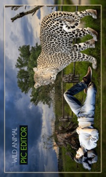 Wild Animal Photo Editor - Animal Photo Frames游戲截圖1