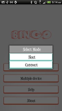 Desi Bingo - MultiPlayer Game游戲截圖2