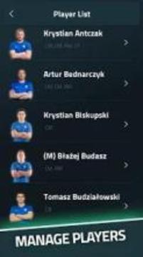 Real Club Manager游戲截圖4