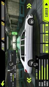 Park Limousine: Realistic Limo Parking Simulator游戲截圖5