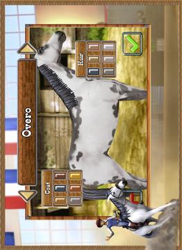 My Western Horse – Free游戲截圖4