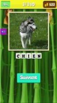 safari animals quiz游戲截圖1