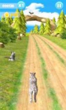 Cheetah Run游戲截圖5