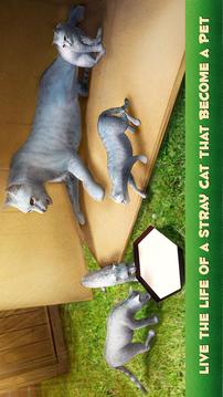 Home Cat Survival Simulator 3D游戲截圖5