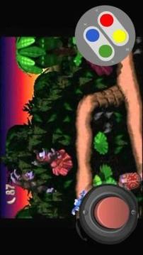 SNES Dnkey Kong Adventure游戲截圖1