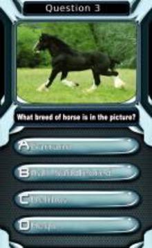 My Horse & Pony Breeds Quiz HD游戲截圖2