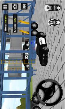 Police Car Airplane Transport游戲截圖1