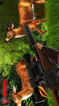 Deer Hunting American Sniper Shooting Game 2018游戲截圖4