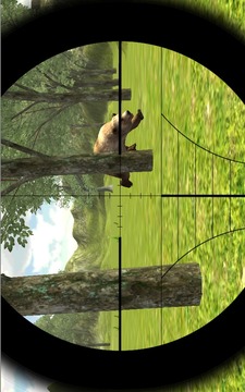 Bear Hunter Expert游戲截圖5
