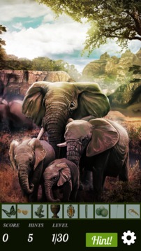 Hidden Object - African Adventure游戲截圖1
