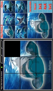 Magic Slide Puzzle B Fishes 2游戲截圖2