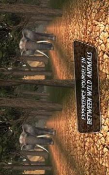 野生叢林之旅虛擬現(xiàn)實 - 動物游戲截圖1