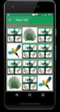 Bird Memory Matching Game游戲截圖4
