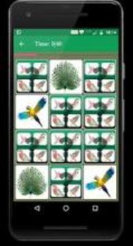 Bird Memory Matching Game游戏截图4