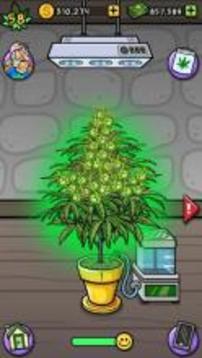 Pot Farm: Grass Roots游戲截圖3