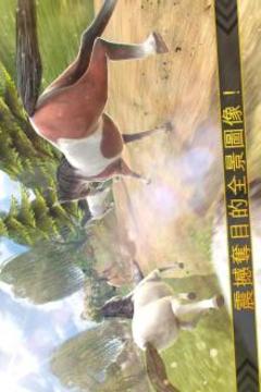 野馬 賽跑 草地 3D - 免費 馬 游戲游戲截圖2