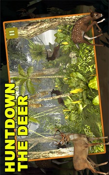 Jungle Deer Hunting游戲截圖3