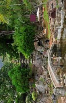 Escape Puzzle: Wildlife Park游戲截圖4