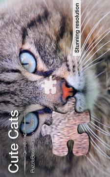 Cute Cats Jigsaw Puzzles游戲截圖1