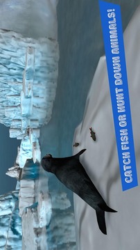 Seal Survival Simulator 3D游戲截圖2