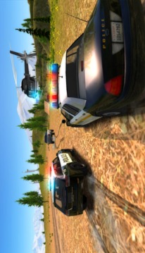 Crime City Police Car Driver游戏截图3