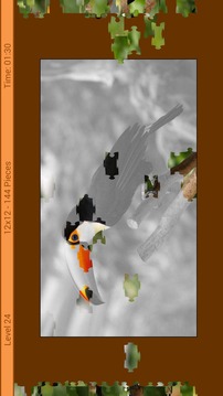 Animals Puzzle - Jungle游戲截圖1