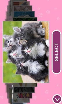 Cats - Jigsaw Puzzles游戲截圖5