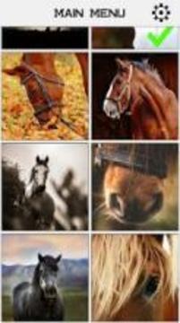 Horse Slide Puzzle游戲截圖2